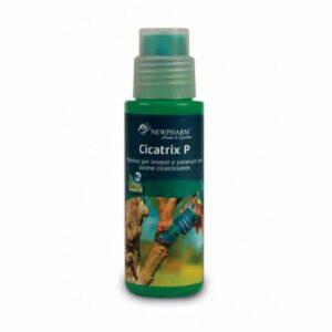 CICATRIX P - Mastice cicatrizzante con rame