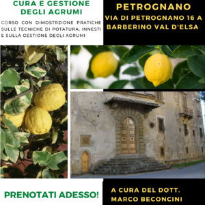 AGRUMALIA - Corso sulla potatura e gestione degli agrumi