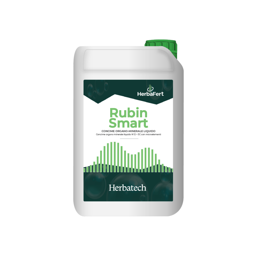 HERBAFER RUBIN SMART