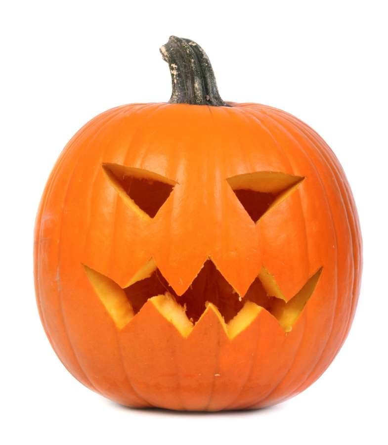 Immagini zucche di halloween clearance