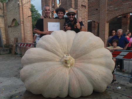 cutrupi campione italiano zucche giganti
