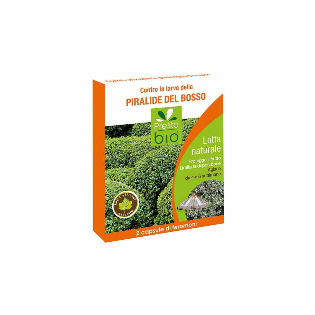 Feromoni contro la piralide del bosso Presto bio