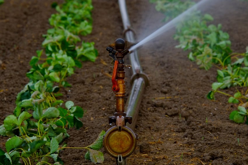 Pompe di Superficie per Sistemi di Irrigazione, Pompe Agricole