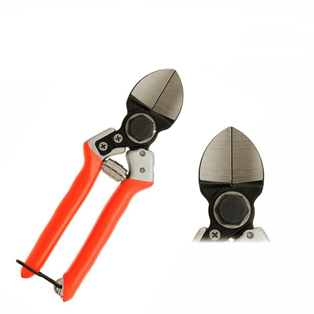 Castellari LADY II - Forbice a doppia lama