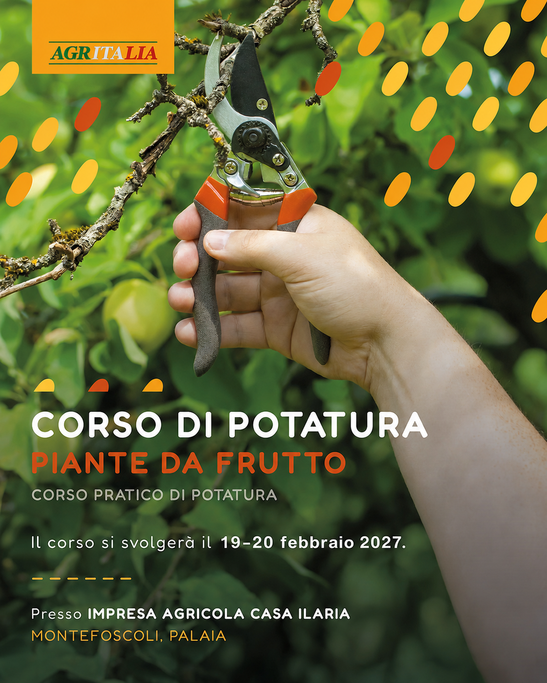 Corso di Potatura - Piante da frutto