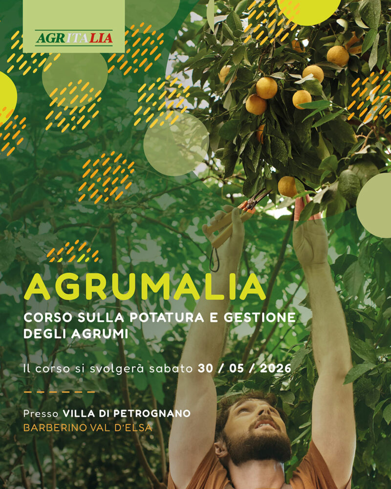 AGRUMALIA - Corso sulla potatura e gestione degli agrumi