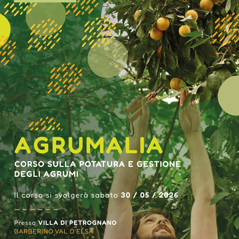 AGRUMALIA - Corso sulla potatura e gestione degli agrumi