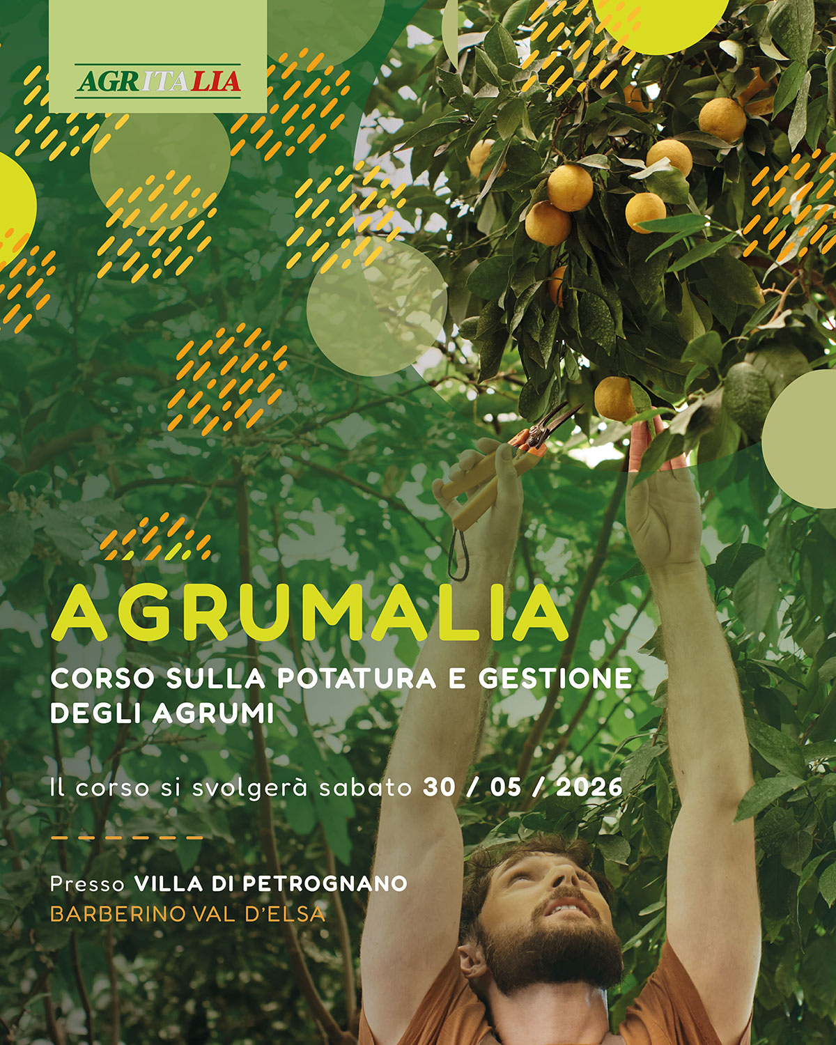 AGRUMALIA - Corso sulla potatura e gestione degli agrumi