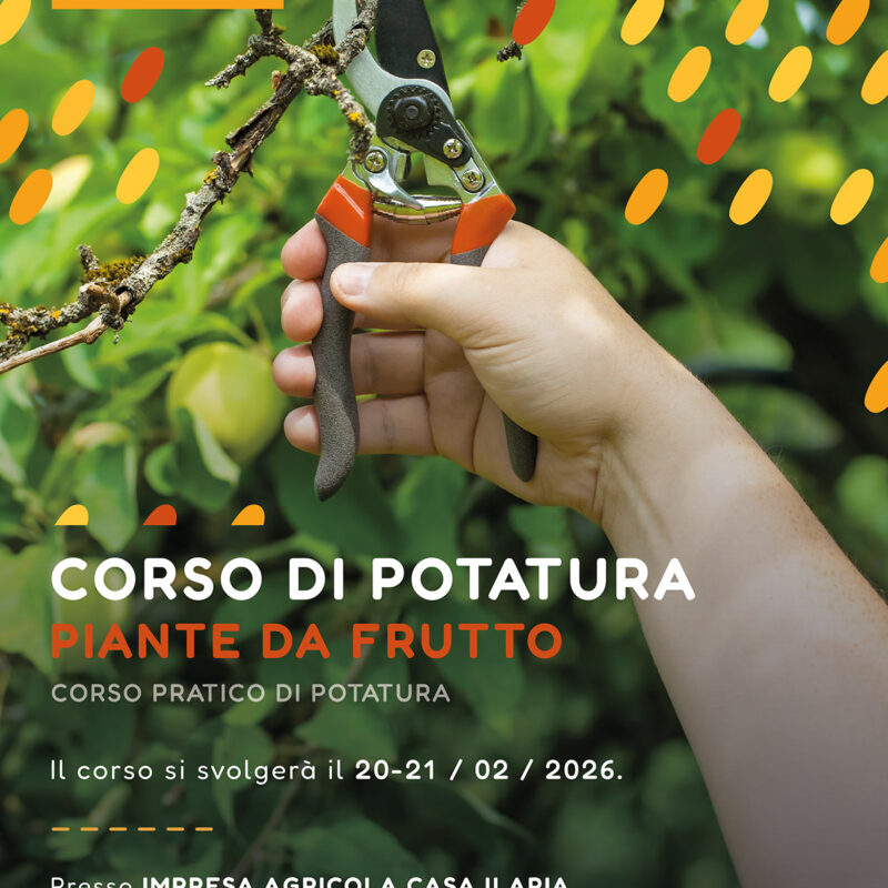 Corso di Potatura - Piante da frutto