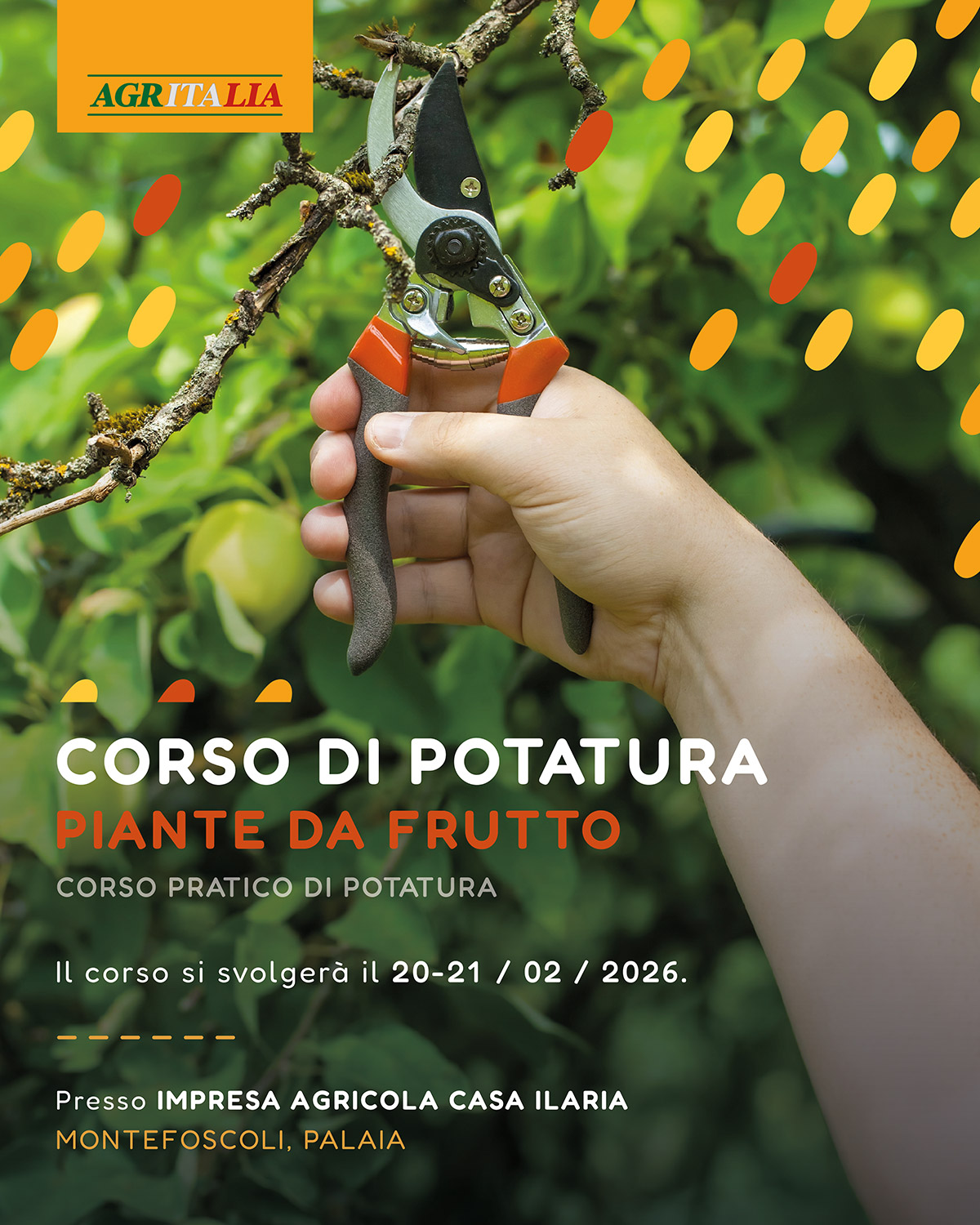 Corso di Potatura - Piante da frutto