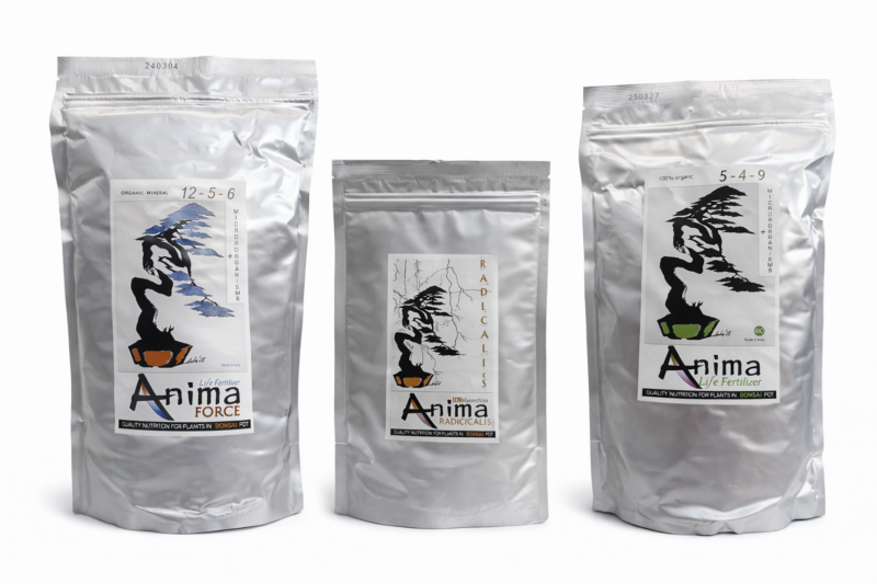 ANIMA BOX - Concime + Ectomicorrize per Bonsai