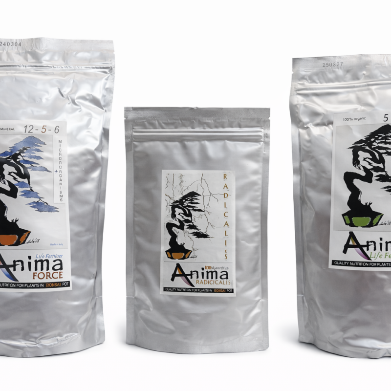 ANIMA BOX - Concime + Ectomicorrize per Bonsai