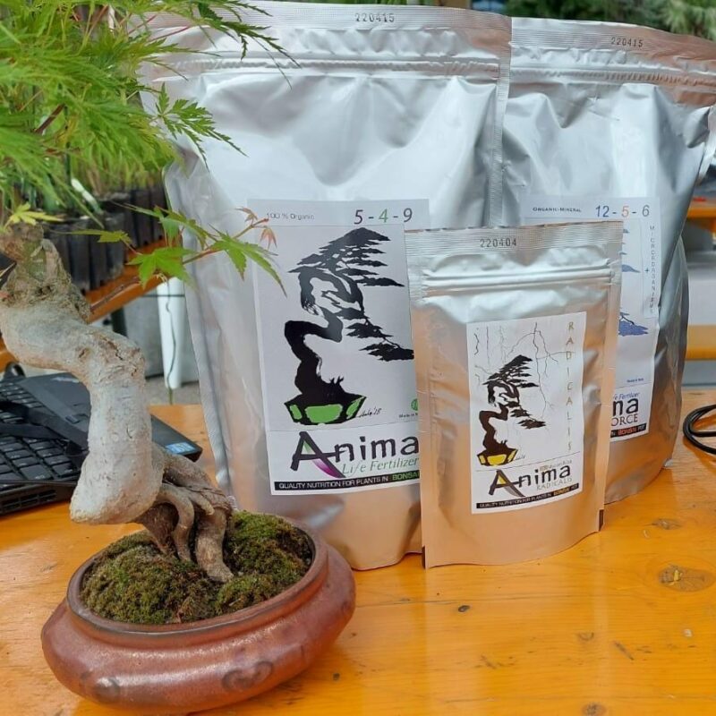 ANIMA BOX - Concime + Ectomicorrize per Bonsai