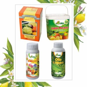 KIT COLTIVAZIONE AGRUMI