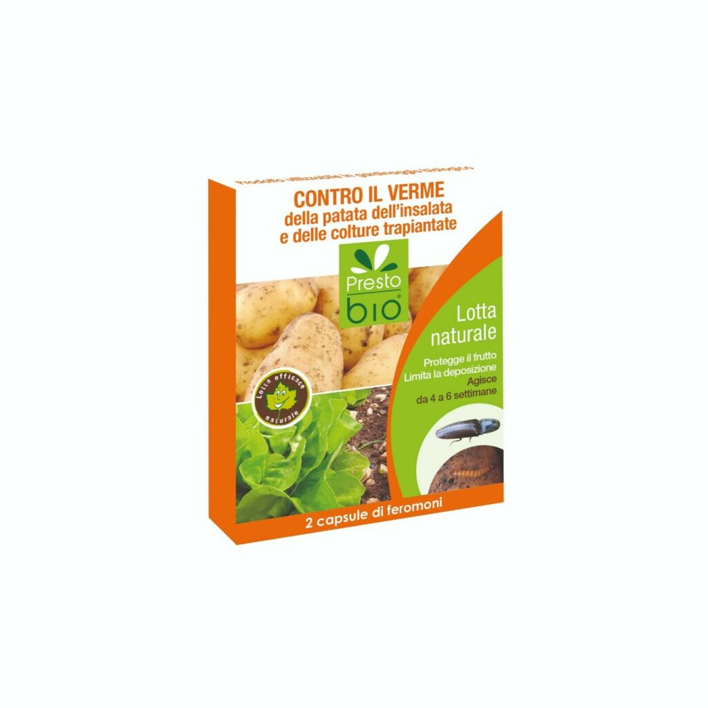 Feromoni contro il verme della patata
