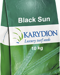 Black Sun - Seme prato ombra da 10 Kg
