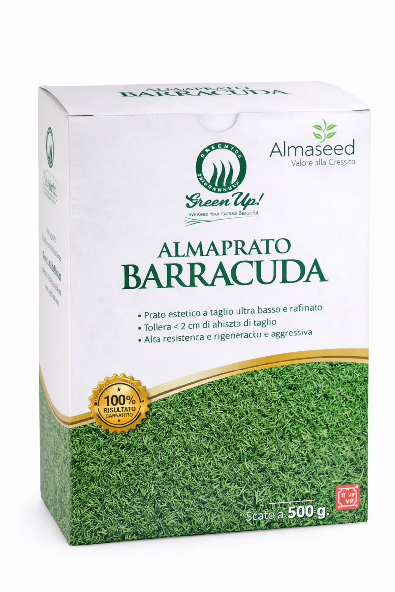 ALMAPRATO BARRACUDA – Prato di Agrostide