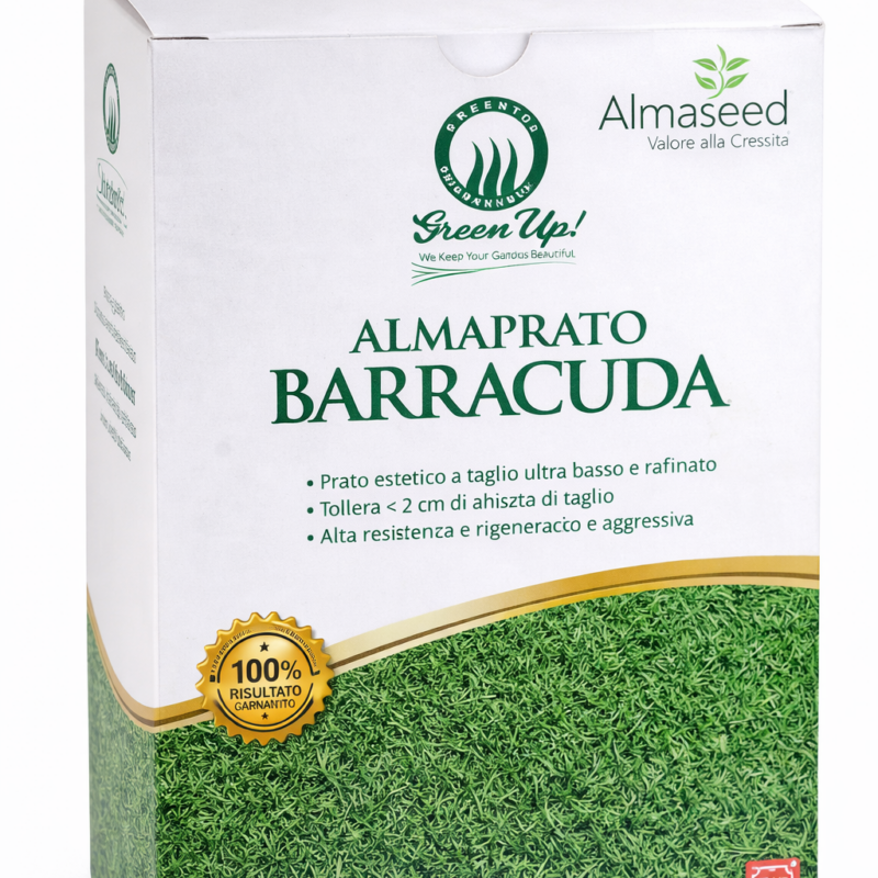 ALMAPRATO BARRACUDA – Prato di Agrostide